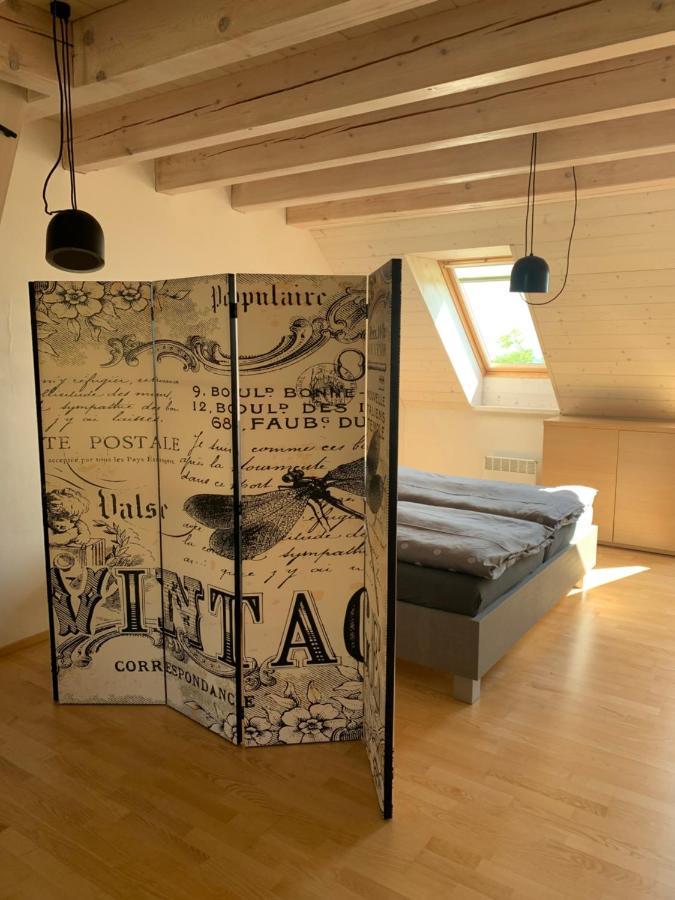 Dovolena Bez Starosti - Apartman U Venuse Павлов Екстериор снимка