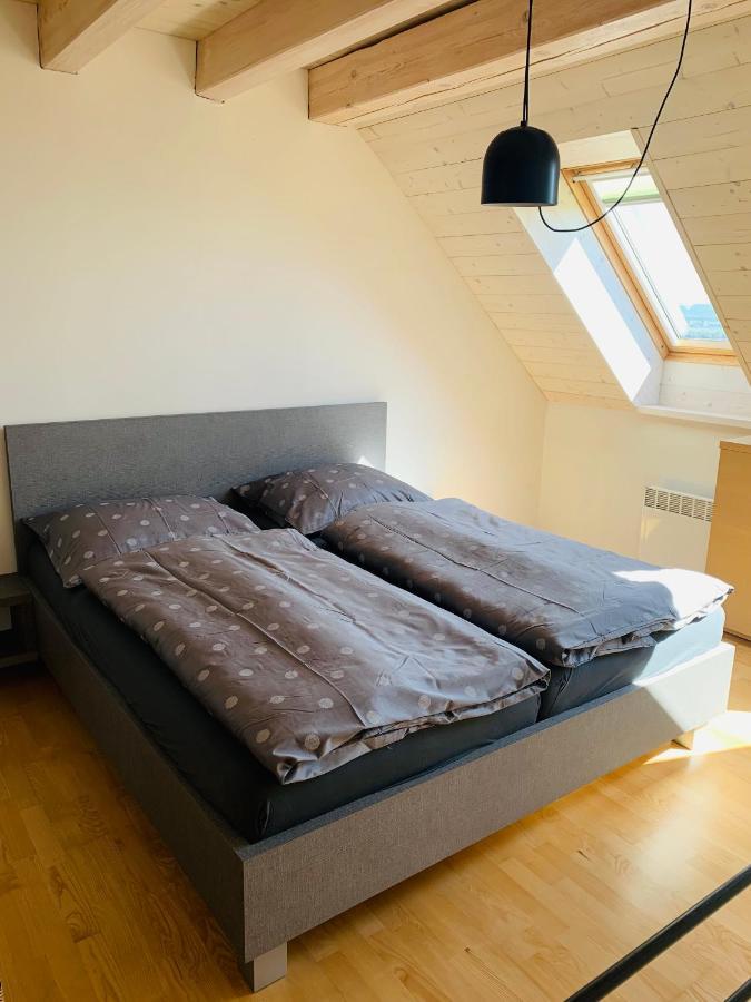 Dovolena Bez Starosti - Apartman U Venuse Павлов Екстериор снимка